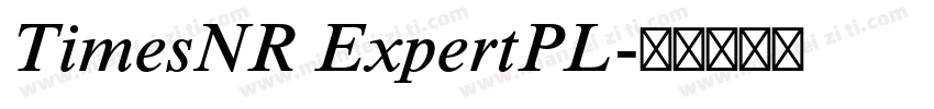 TimesNR ExpertPL字体转换